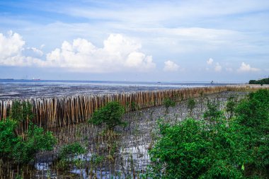 Eski lastikler sahilde deniz dalgası korumak.