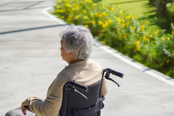 在公园轮椅的亚洲老人或老年老太太妇女患者 健康强的医学概念 — 图库照片