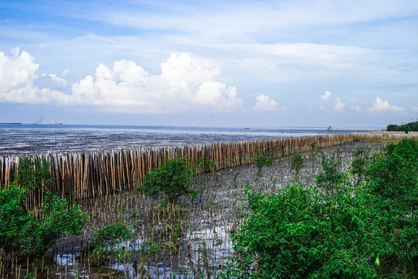 Eski lastikler sahilde deniz dalgası korumak.