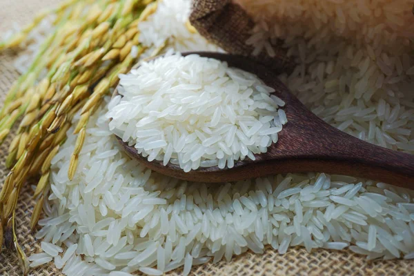 Jasmine White Rice Gold Grain Agriculture Farm — Stock Photo, Image