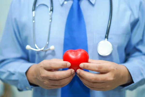 Asian smart man doctor holding a red heart : healthy strong medical concept.