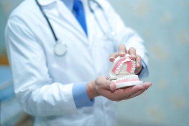 Asya adam doktor ortodontik diş profesyonel diş hekimi ağız sağlığı uzmanı mükemmel ağız diş çene modeli eğitim sunu sırasında holding