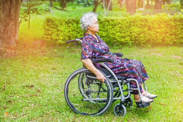 Asian Senior Elderly Old Lady Woman Patient Wheelchair Park Healthy — Stock Photo, Image