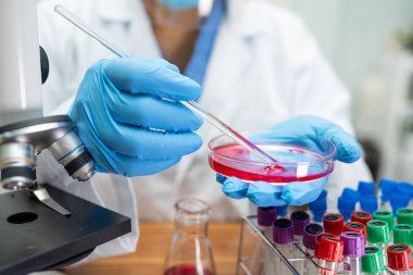 Laboratuvarda mikroskopla çalışan Asyalı biyokimyacı ya da mikrobiyolog. Coronavirus salgınını korumak için. Covid19, bakteri ve mikroplar..