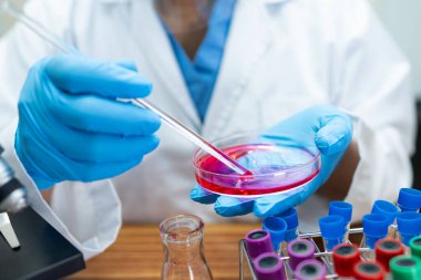 Laboratuvarda çalışan Asyalı biyokimyacı ya da mikrobiyolog. Coronavirus salgınını korumak için. Covid19, bakteri ve mikroplar..