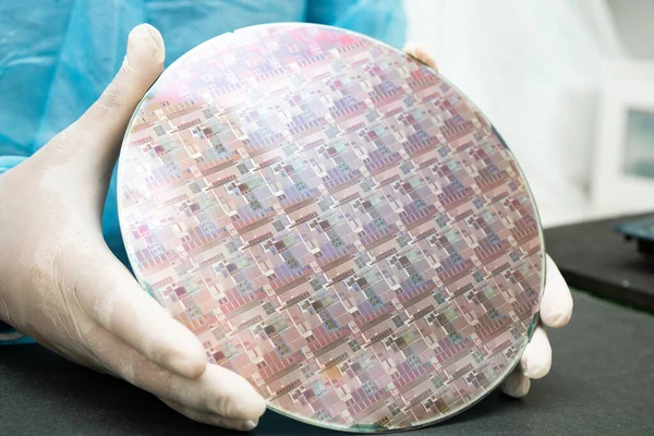 Tümleşik devre yarı iletken üretimi için silikon gofret.