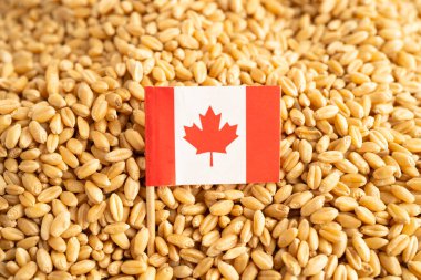 Kanada bayraklı tahıl, ticaret ihracatı ve ekonomi.