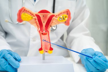 Vajinal ve rahim boynu sıvısı testi için rahmi tutan doktor doğum ve jinekolojiyi kontrol etti..