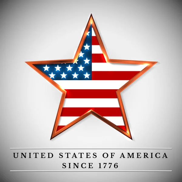 Usa Star Independence Day Vector Illustration — Stock Vector