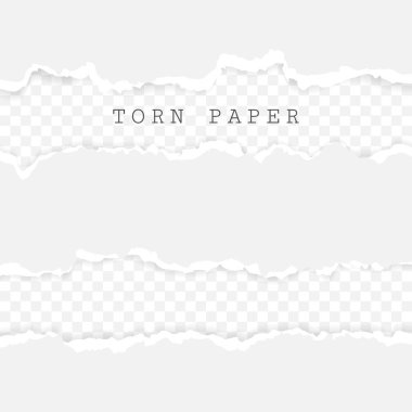 Yırtık kağıt şeritler kümesi. Kağıt dokusu ile bozuk kenar üzerinde şeffaf arka plan izole. Vektör çizim.
