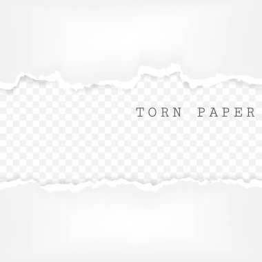 Yırtık kağıt şeritler kümesi. Kağıt dokusu ile bozuk kenar üzerinde şeffaf arka plan izole. Vektör çizim.