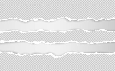 Yatay yırtık kağıt kenarı. Yırtık kare yatay beyaz kağıt şeritler. Vektör çizimi
