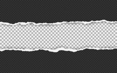 Yatay yırtık kağıt kenarı. Yırtık kare yatay beyaz kağıt şeritler. Vektör çizimi