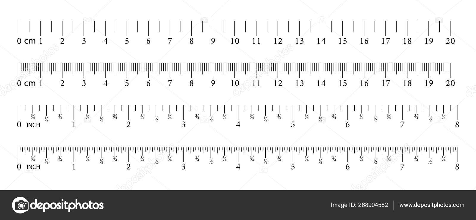 Metric imperial rulers centimeter and inch Vector Image