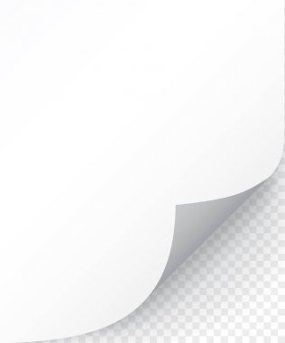 Kıvrılmış köşeli ve yumuşak gölgeli kağıt sayfası, tasarımınız için şablon. Ayarlamak. Vektör çizimi