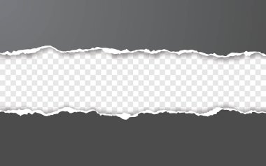 Yatay yırtık kağıt kenarı. Yırtık kare yatay beyaz kağıt şeritler. Vektör çizimi