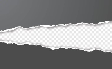 Yatay yırtık kağıt kenarı. Yırtık kare yatay beyaz kağıt şeritler. Vektör çizimi