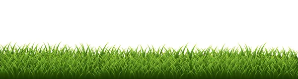 Grens met groen gras op witte achtergrond. Vector Illustratie — Stockvector