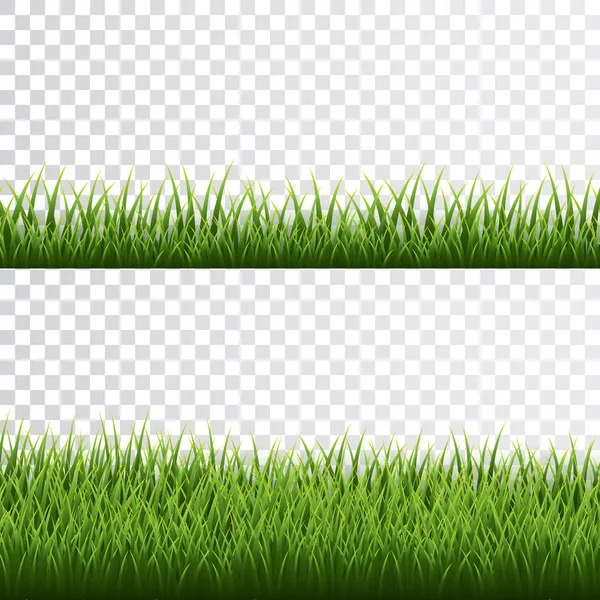 Grens met groen gras op transparante achtergrond. Vector Illustratie — Stockvector