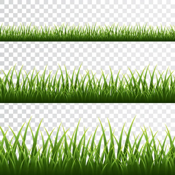 Grens met groen gras op transparante achtergrond. Vector Illustratie — Stockvector