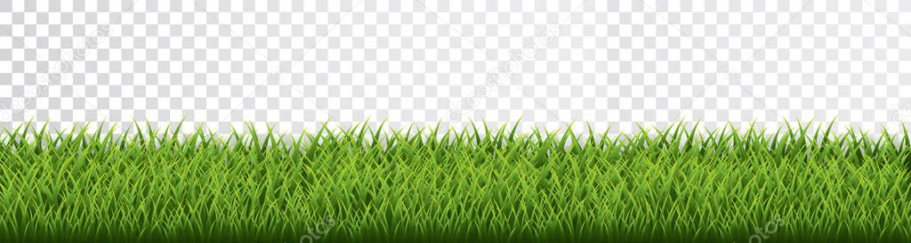 Green grass border set on transparent background. Vector Illustration