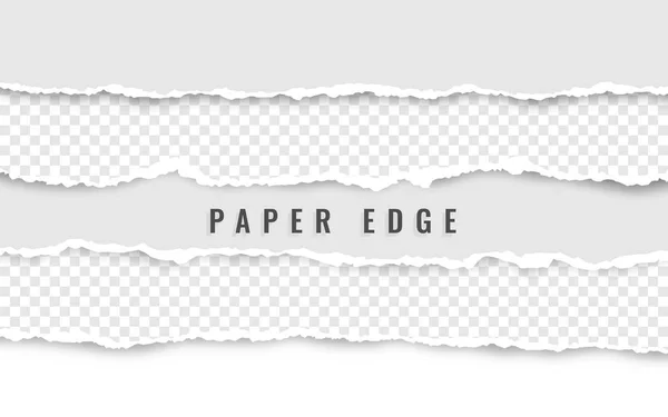 Horizontal torn paper edge. Ripped squared horizontal white paper strips. Vector illustration