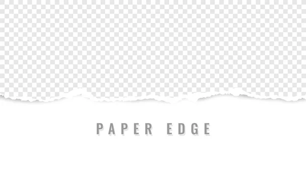 Yatay yırtık kağıt kenarı. Yırtık kare yatay beyaz kağıt şeritler. Vektör çizimi — Stok Vektör