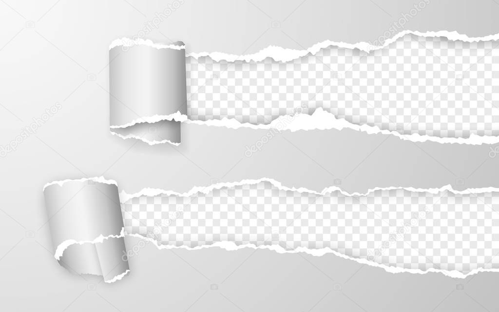Realistic torn and twisted paper strip. Torn paper edge. Vector illustration