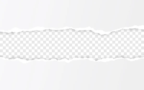 Vodorovná hrana roztržené papíru Roztrhané čtverhraný vodorovný proužek papíru. Vektorová ilustrace — Stockový vektor