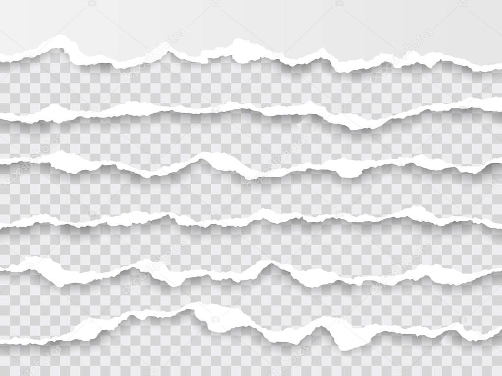 Horizontal torn paper edge. Ripped squared horizontal white paper strips. Vector illustration