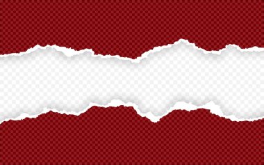 Yatay yırtık kağıt kenarı. Yırtık kare yatay kağıt şeritler. Vektör çizimi
