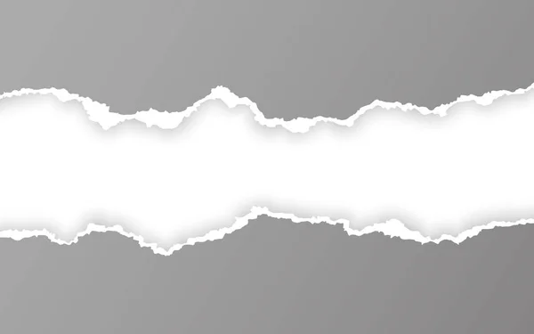 Borde de papel desgarrado horizontal. Tiras de papel horizontales rasgadas al cuadrado. Ilustración vectorial — Vector de stock