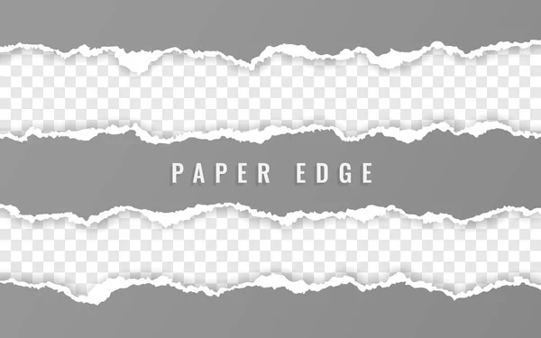 Torn paper edge. Ripped squared paper strips. Vector illustration