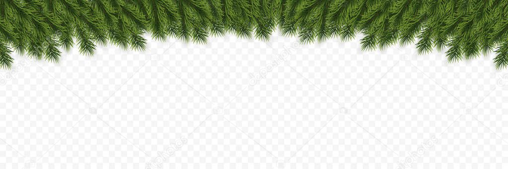 Festive Christmas or New Year Background. Christmas Tree Branches. Holiday's Background. Vector illustration