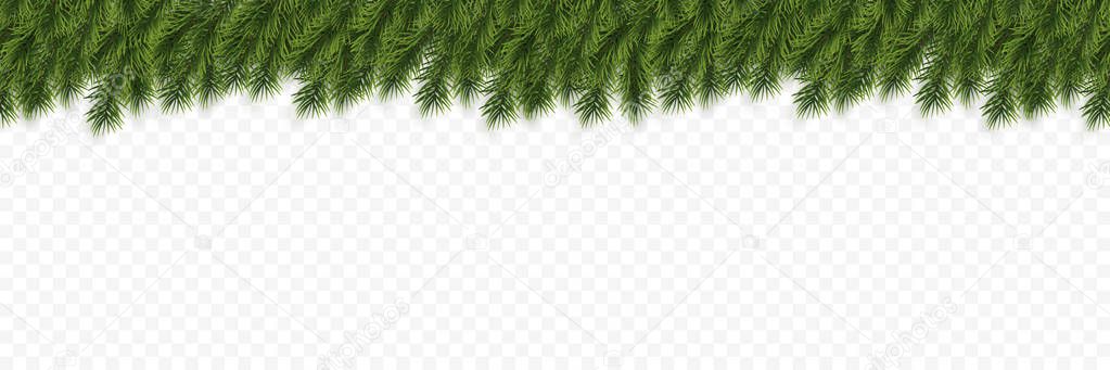 Festive Christmas or New Year Background. Christmas Tree Branches. Holiday's Background. Vector illustration