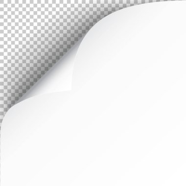 Kıvrımlı köşeli ve yumuşak gölgeli kağıt yaprağı, tasarımın için şablon. Vektör illüstrasyonu