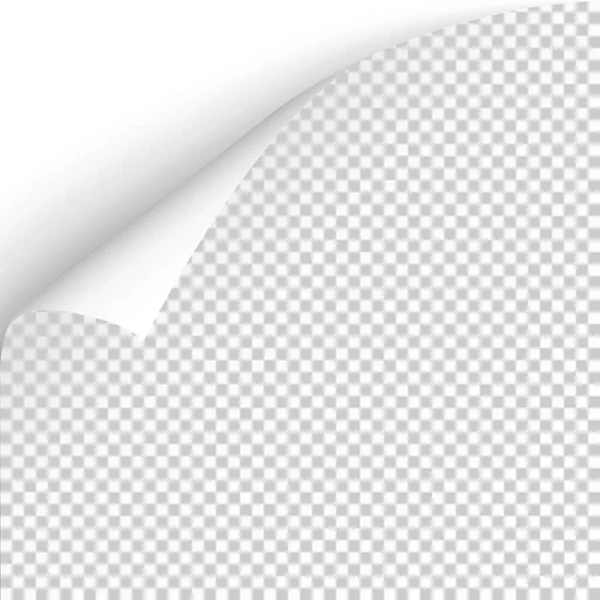 Φύλλο χαρτιού με μπούκλες γωνία και απαλή σκιά, πρότυπο για το σχεδιασμό σας. Εικονογράφηση διανύσματος — Διανυσματικό Αρχείο