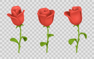 Yeşil kökleri ve yaprakları olan kırmızı gül tomurcukları şeffaf arka planda izole edilmiş. Romantik, çiçekli ve dekoratif tasarımlar için mükemmel. Vektör İllüstrasyonu.
