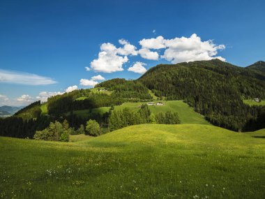 Taze yeşil çayır ile Alpler'de güzel manzara görünümü