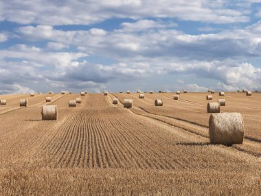 Bulutlar ile Mavi Gökyüzü altında buğday alanında saman balyaları