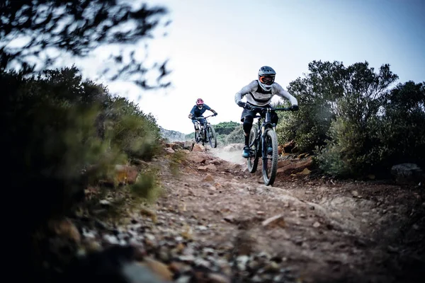 Two mountain bikers riding a single track in the mountains