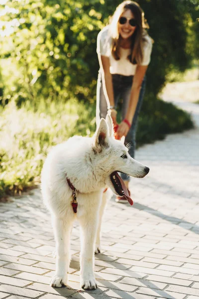 Portrait Beautiful White Siberian Husky Looking Away While — Stock Photo, Image