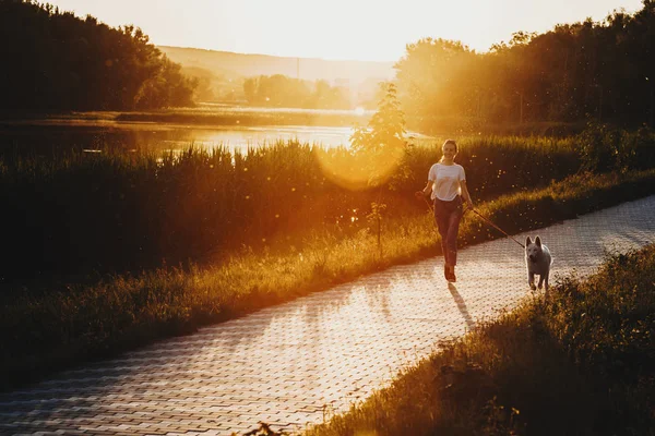 Erkek gömlek direksiyon direksiyon başında oturan ve yakından inceleyerek yol haritası elinde çiçek baskı ile kırpma arkadan görünüm