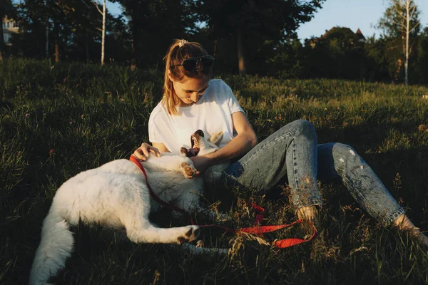 Yeşil çimenlerin üzerinde uzanmış ve sarılma ve geri mutlu beyaz köpekle yatan ile oynarken hafif rahat kıyafetler içinde güzel rahat genç kadın günbatımında jaws açın