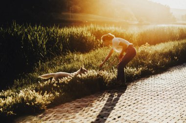 Genç kadın komik köpek park çim iyi yürüyüş sırasında üzerinde duran güneşli gün ile oynarken yan görünüm