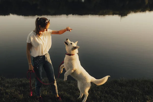 Lovely Young Woman Using Bait Teach Dog New Trick While — Stock Photo, Image