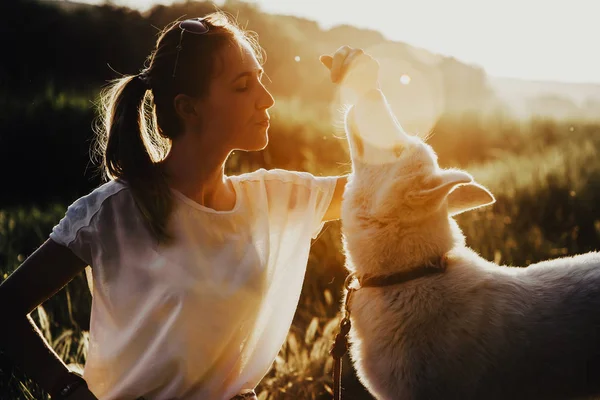 Hübsche Junge Frau Lehrt Entzückenden Hundetrick Bei Spaziergang Der Natur — Stockfoto