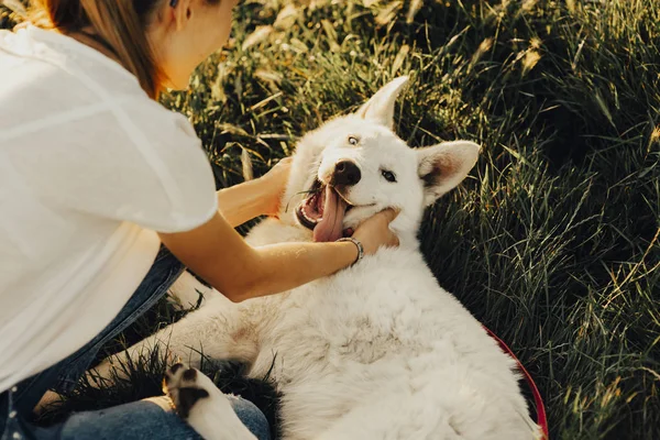 Acima Mencionado Tiro Mulher Irreconhecível Que Acaricia Joga Com Cão — Fotografia de Stock