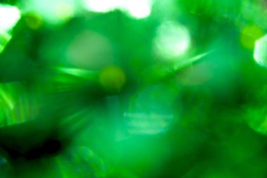 Bokeh arka plan üzerinde soyut yeşilimsi parlak kirişler