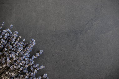 From above bunch of blue fresh blossoms placed on left corner on black background